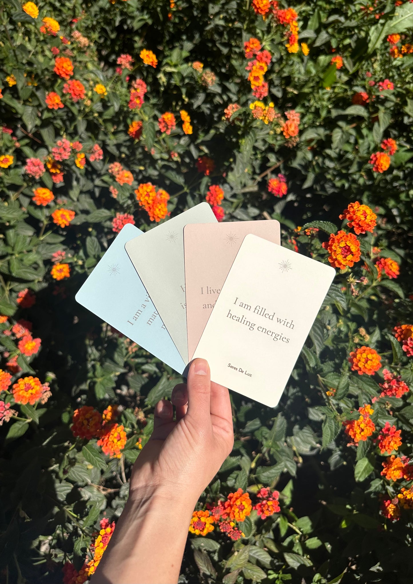 WELLNESS BUNDLE