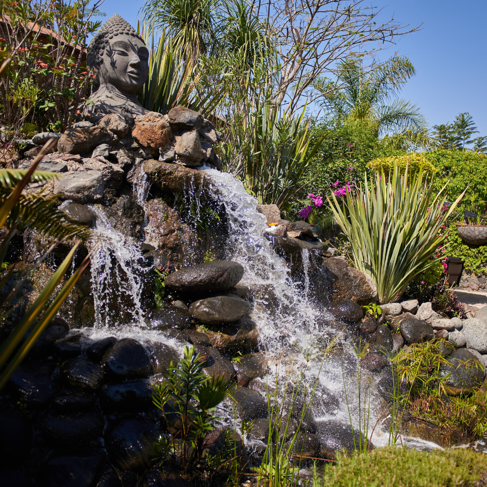 WOMENS ESSENCE RETREAT