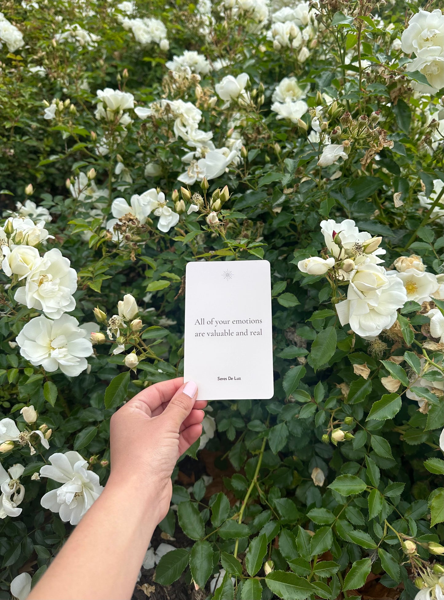 111 AFFIRMATION CARDS